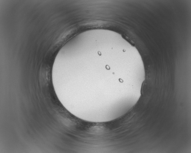 X0000076400119200611031732