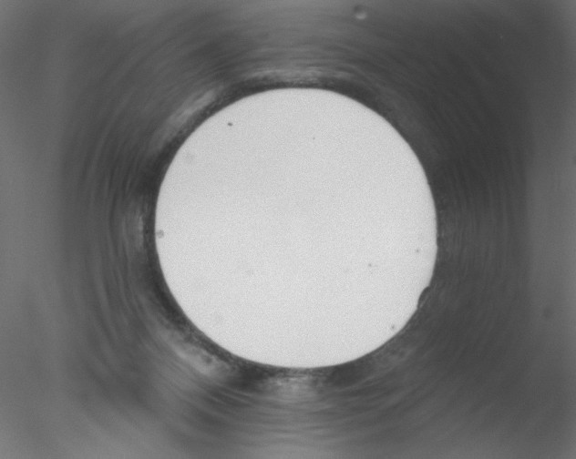 X0000076400120200611031732