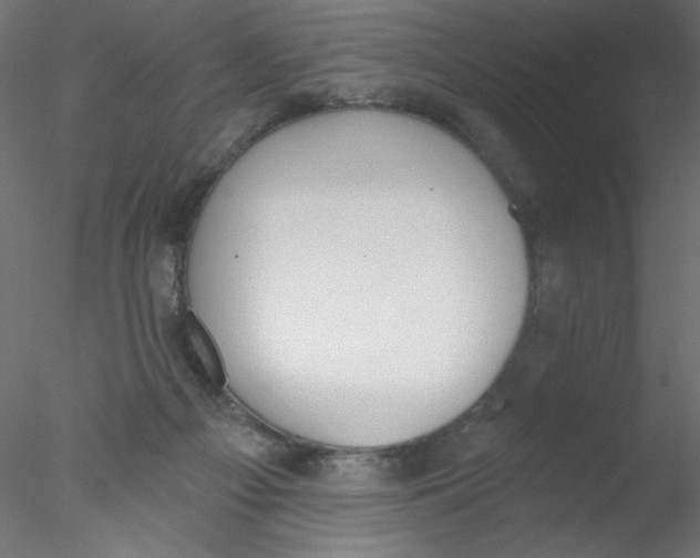 X0000076400121200611031732