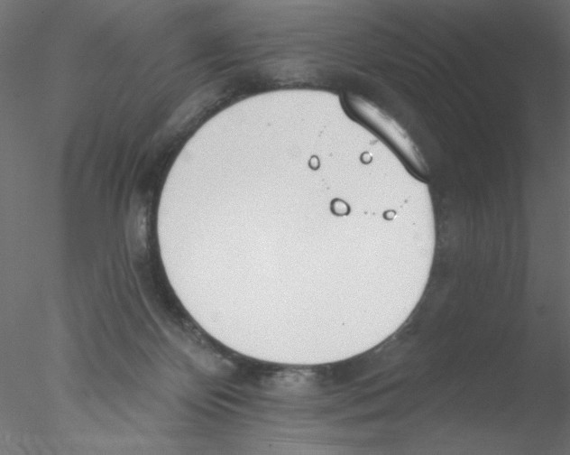 X0000076400124200611031732