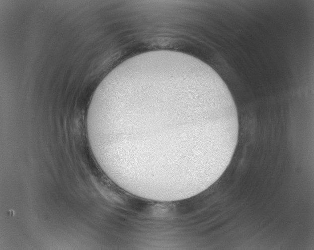 X0000076400126200611031732