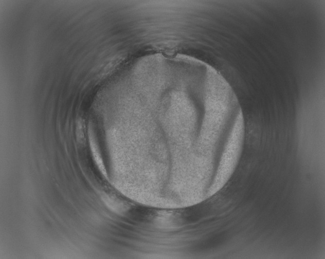 X0000076400130200611031732