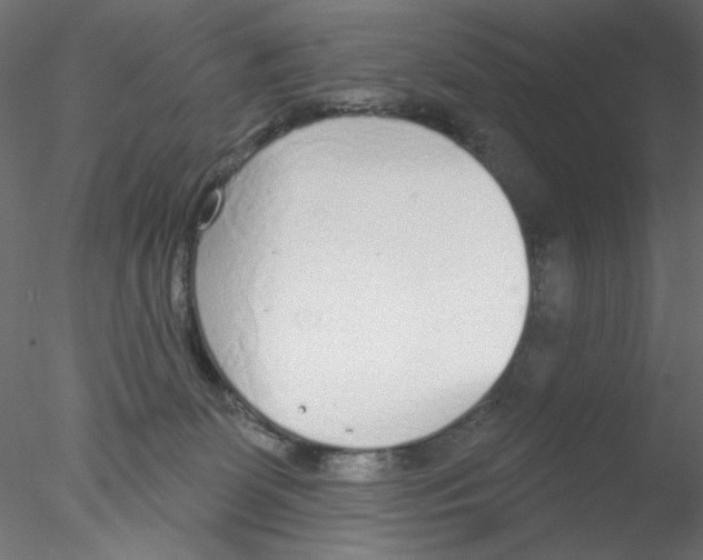 X0000076400131200611031732