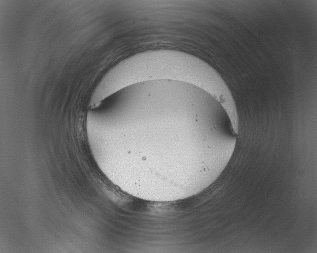 X0000076400141200611031731