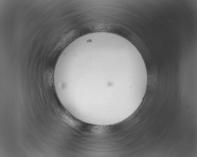 X0000076400142200611031731