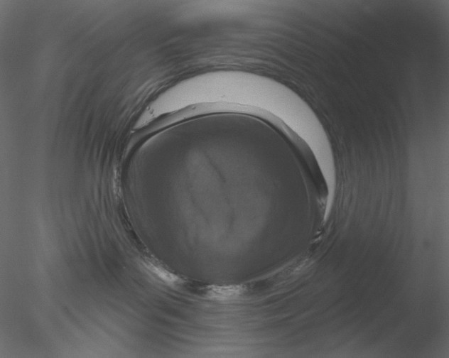 X0000076400143200611031731