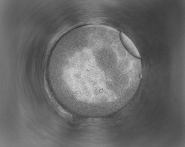 X0000076400145200611031730