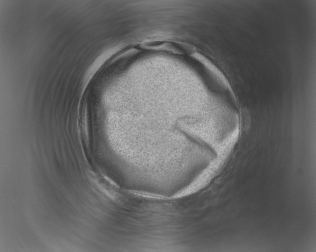 X0000076400147200611031731