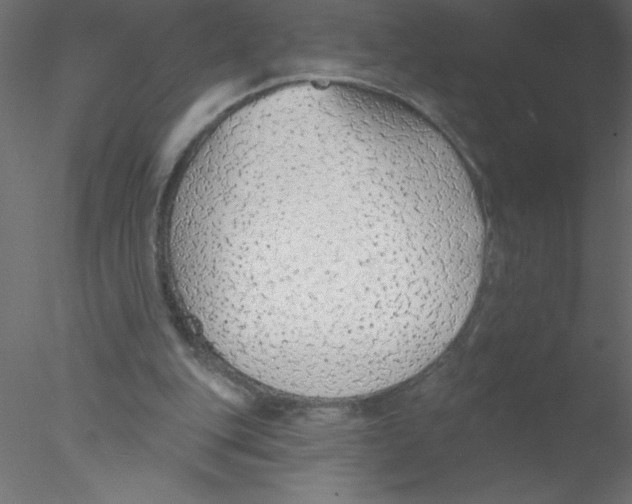 X0000076400151200611031731