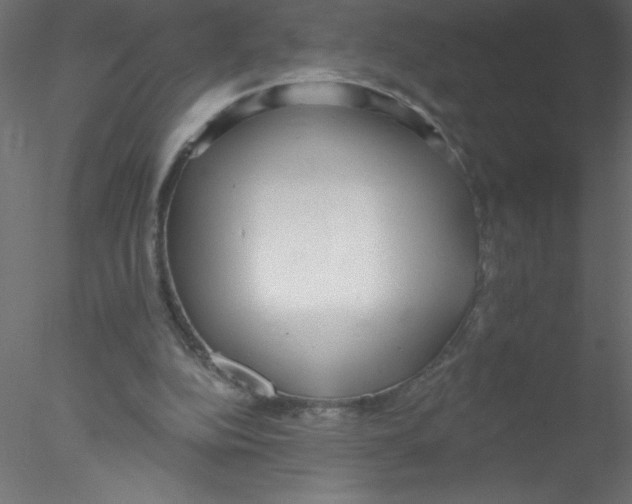 X0000076400152200611031731