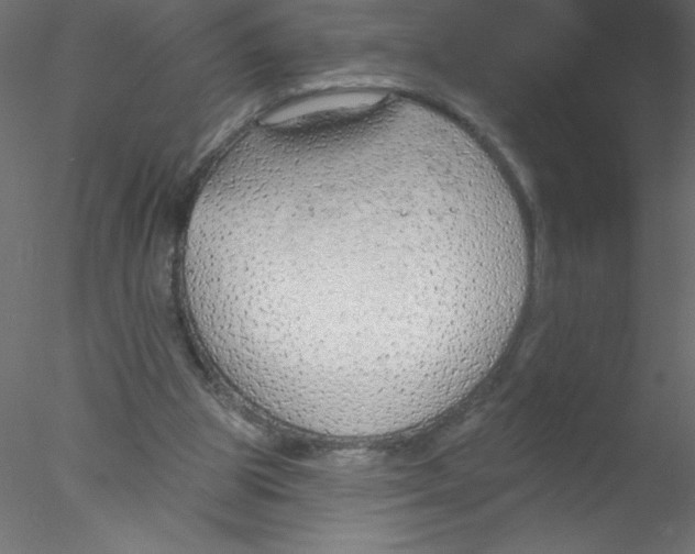 X0000076400153200611031731