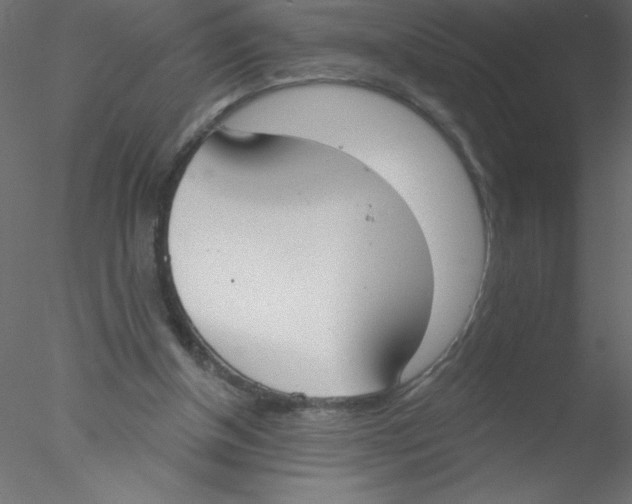 X0000076400154200611031731