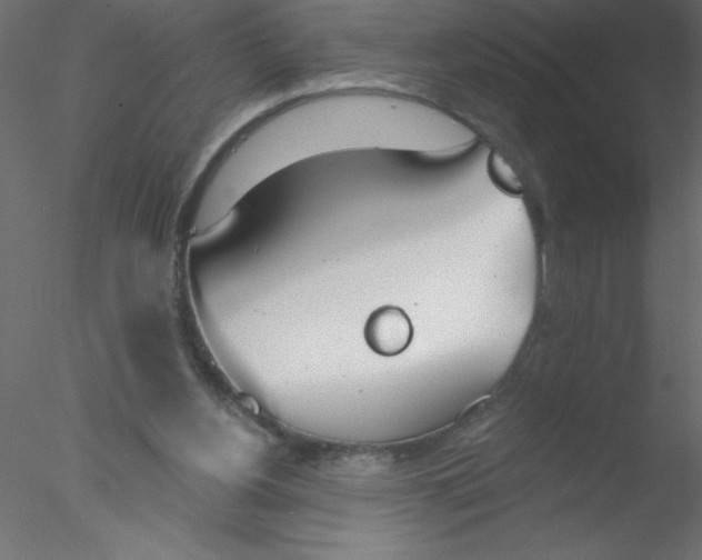 X0000076400156200611031731