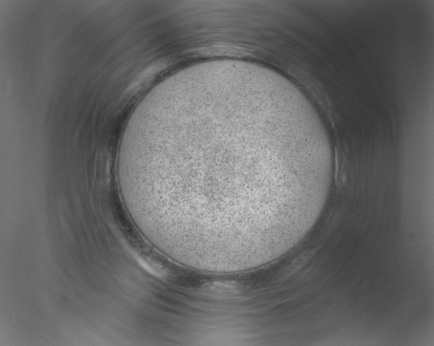 X0000076400157200611031731