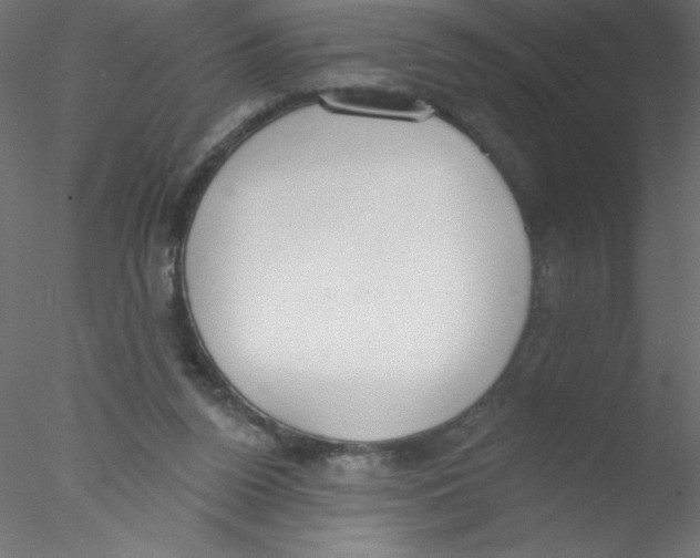 X0000076400160200611031731