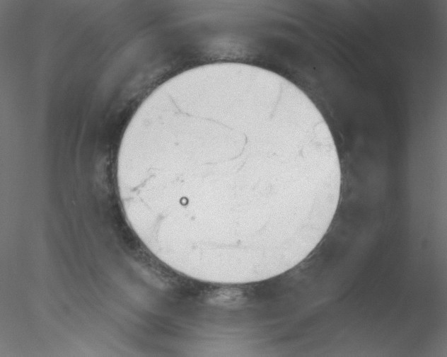 X0000076400162200611031731