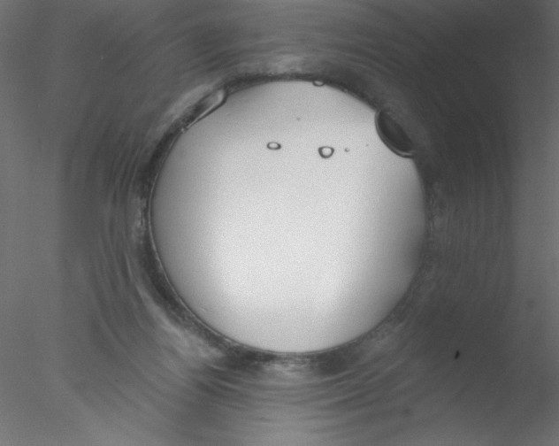 X0000076400164200611031731