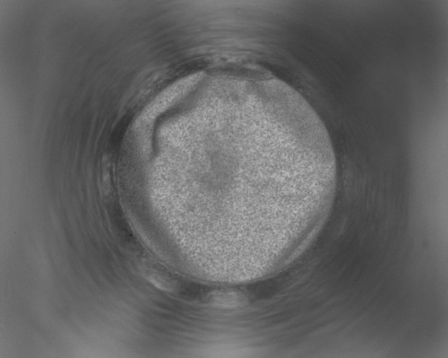 X0000076400169200611031731