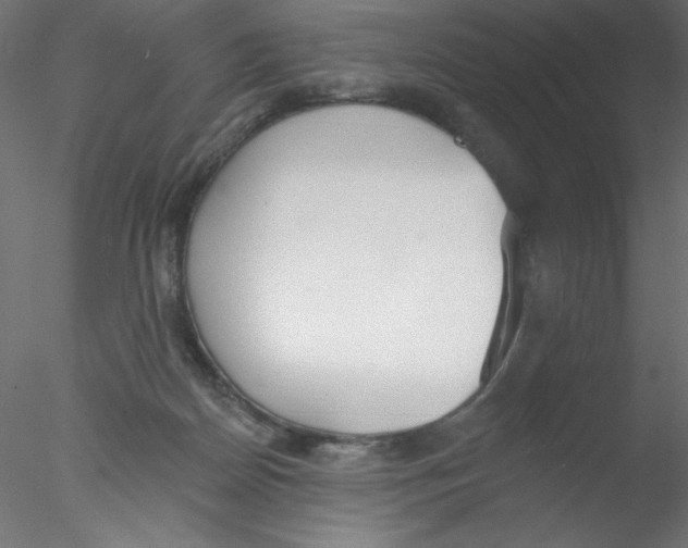 X0000076400170200611031731