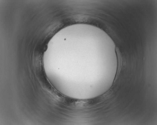 X0000076400172200611031731