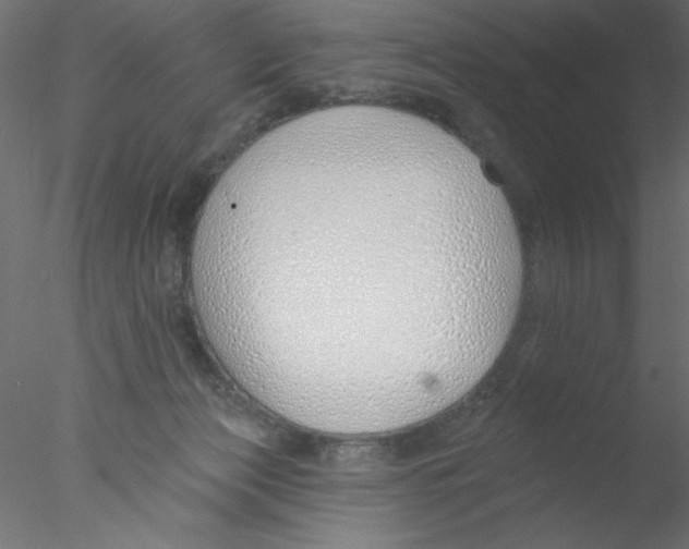 X0000076400173200611031731