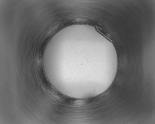 X0000076400176200611031731