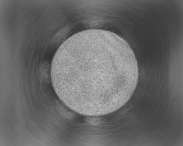 X0000076400181200611031731