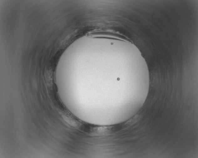 X0000076400184200611031731