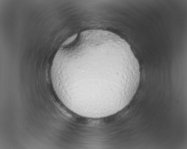 X0000076400185200611031731