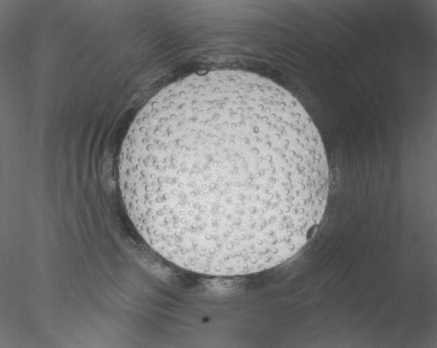 X0000076400187200611031731