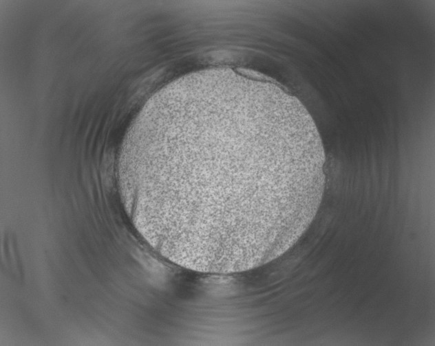 X0000076400189200611031731