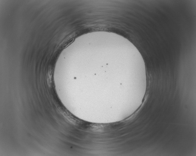 X0000076400190200611031731