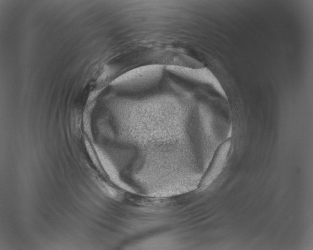 X0000076400192200611031731