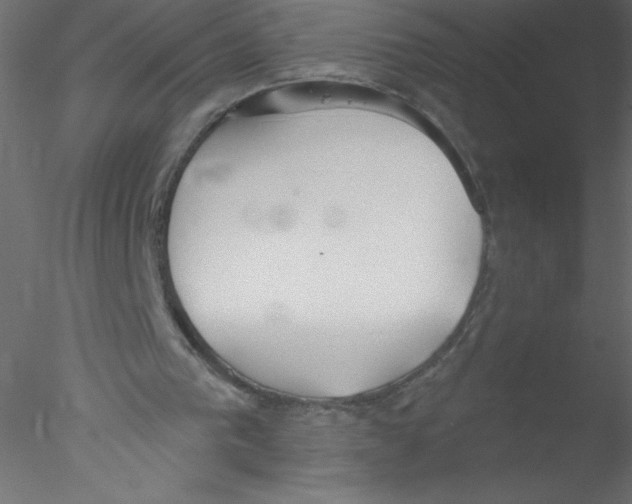 X0000076400193200611031730