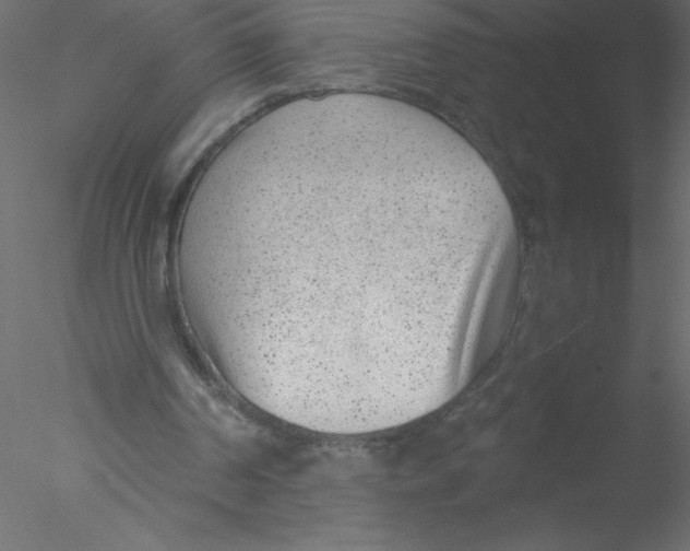 X0000076400194200611031730