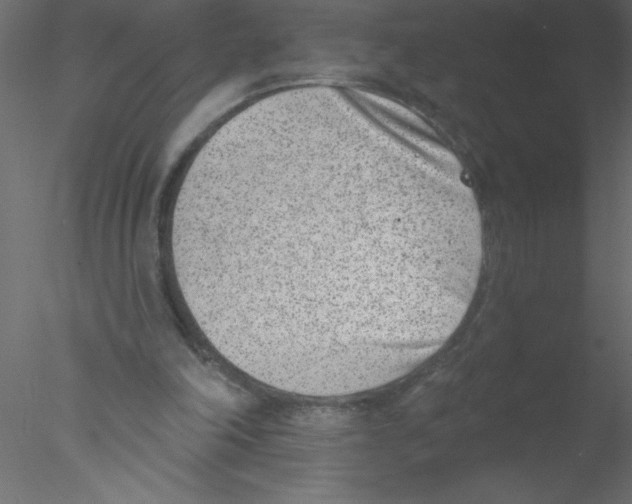 X0000076400198200611031730