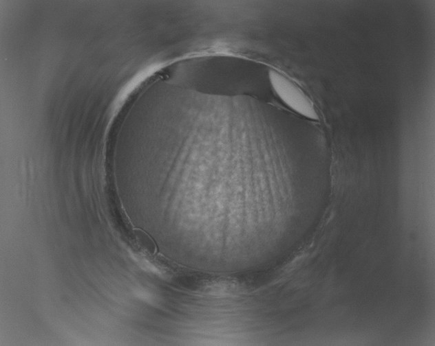 X0000076400200200611031730