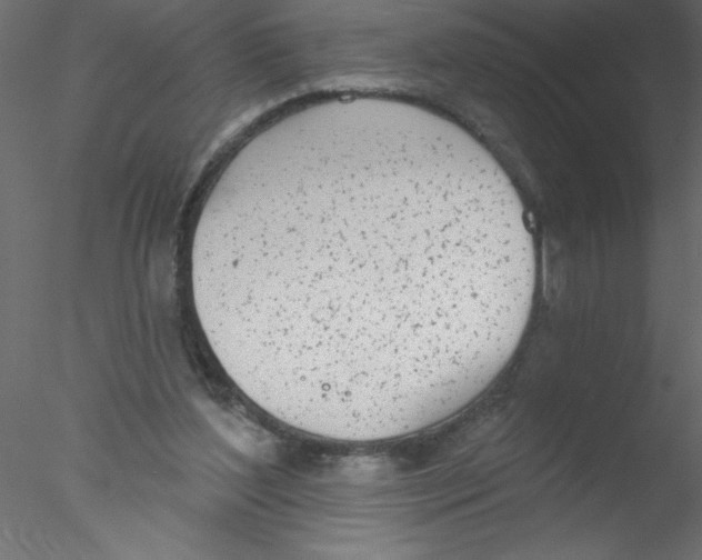 X0000076400204200611031730