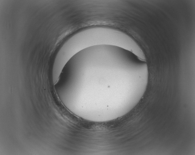 X0000076400207200611031730