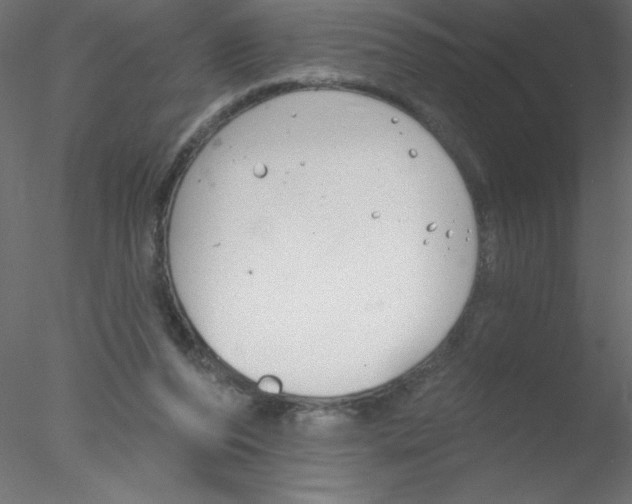 X0000076400208200611031730