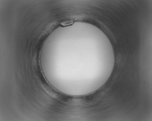 X0000076400209200611031730