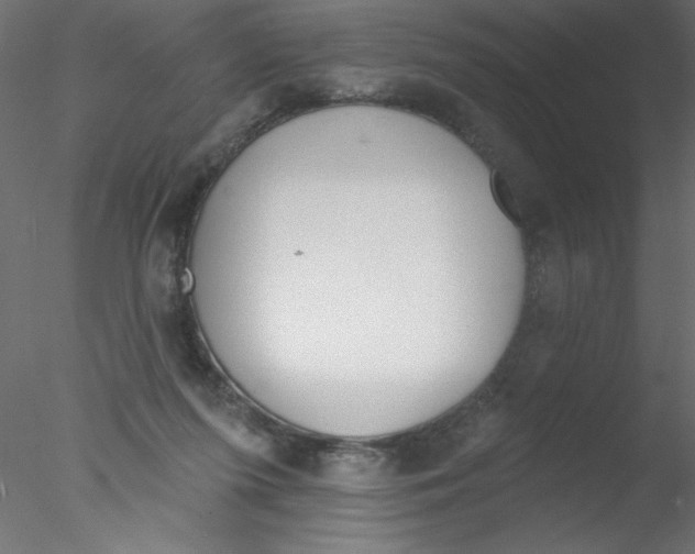 X0000076400215200611031730