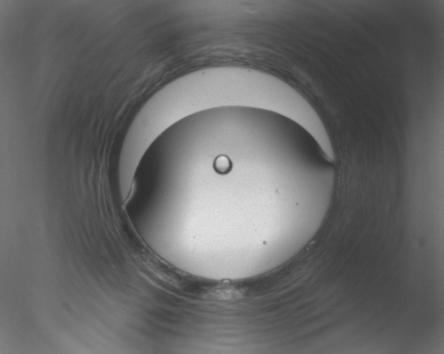 X0000076400217200611031730