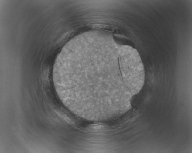 X0000076400219200611031730