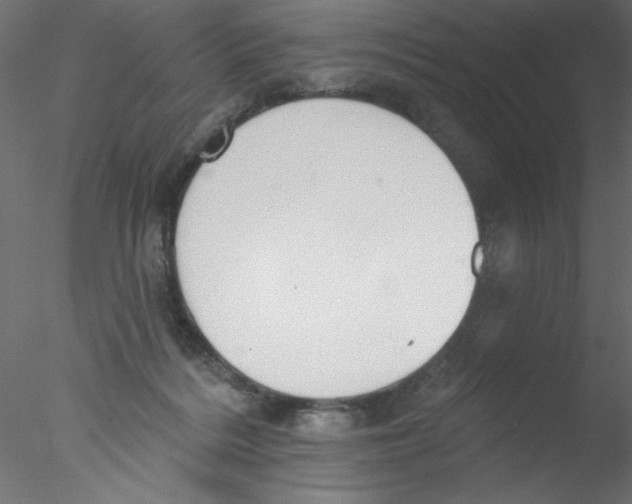 X0000076400220200611031730