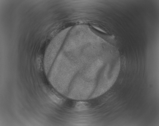 X0000076400222200611031730