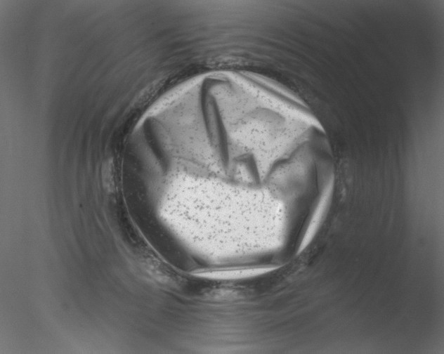 X0000076400224200611031730