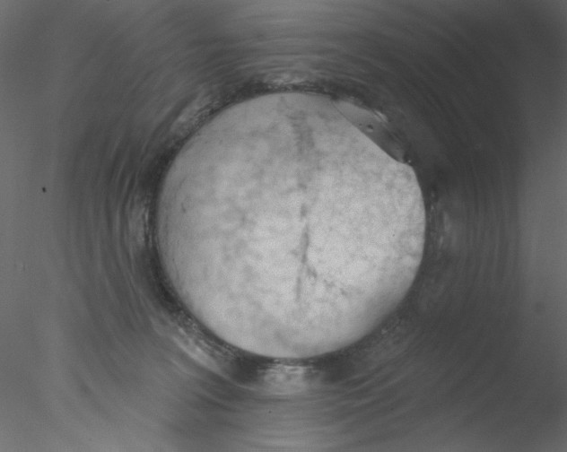 X0000076400227200611031730