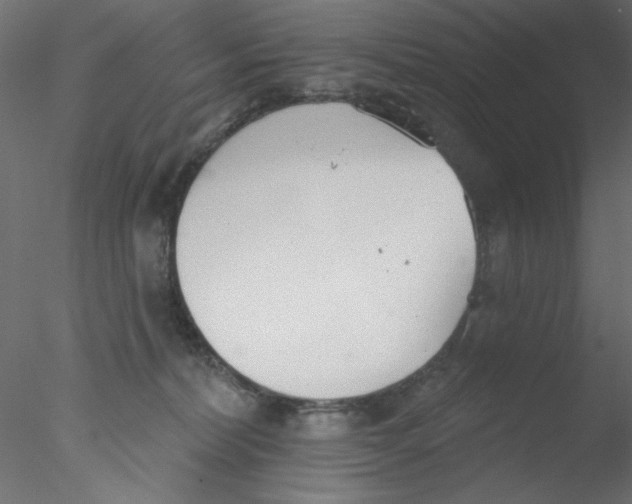 X0000076400228200611031730