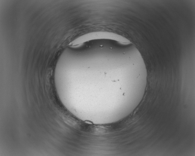 X0000076400229200611031730